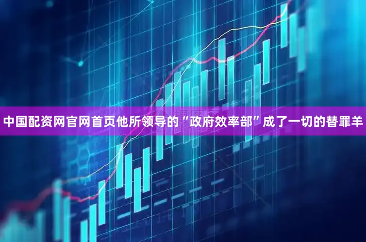 中国配资网官网首页他所领导的“政府效率部”成了一切的替罪羊
