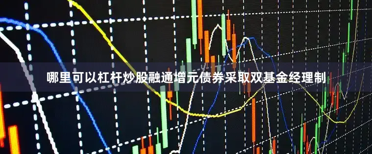 哪里可以杠杆炒股融通增元债券采取双基金经理制
