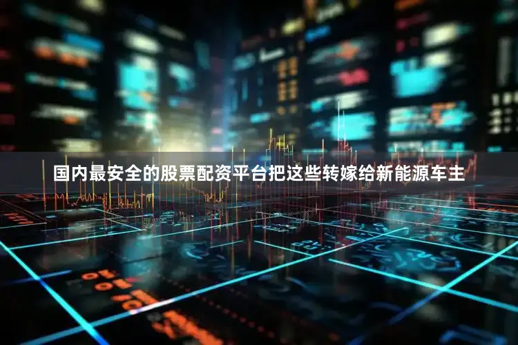 国内最安全的股票配资平台把这些转嫁给新能源车主