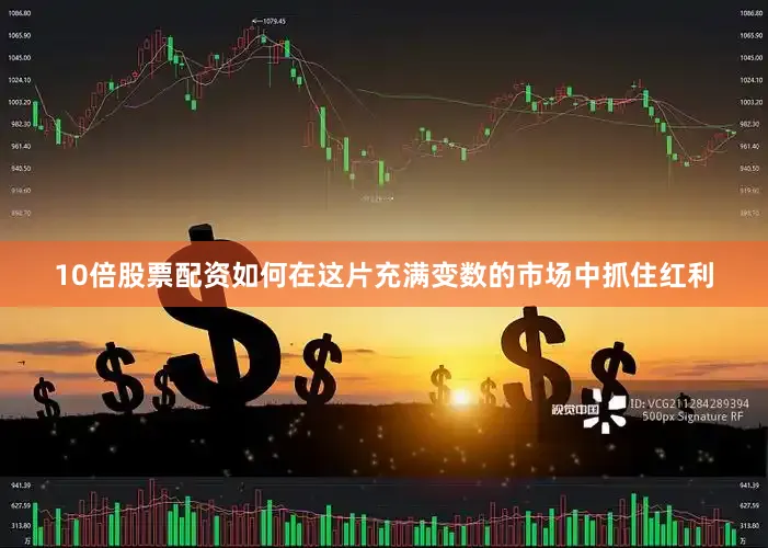 10倍股票配资如何在这片充满变数的市场中抓住红利