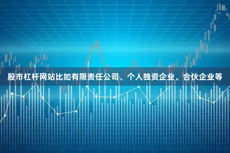 股市杠杆网站比如有限责任公司、个人独资企业、合伙企业等