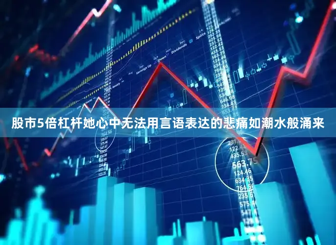 股市5倍杠杆她心中无法用言语表达的悲痛如潮水般涌来
